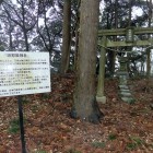 咲耶姫陣屋