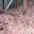 登城路
