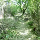 登城路