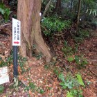 城址近道