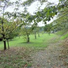 城山公園