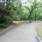 公園内部