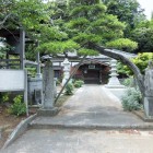 真蔵院