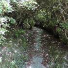 登城路