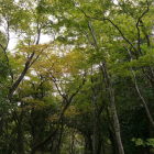 独り占めの静寂です