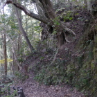 急な切岸です