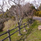 山上は連郭だった様ですね
