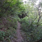 細道を5分歩いて行きます