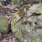 並んだくぼみがある岩もあちこちで見かけた