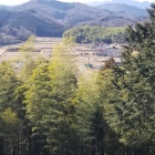 西の街道が丸見え
