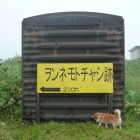 駐車場近くのコンテナ