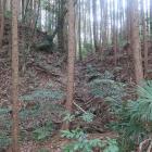 主郭北下の堀切と大土塁（右側）