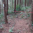 イノシシの罠にご注意！
