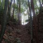 主郭と東尾根を断ち切る堀切