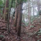 主郭南側の堀切と土塁（東下から）
