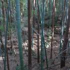 主郭東辺の土塁上から主郭を見下ろす
