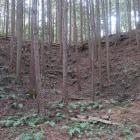 主郭南西隅の高土塁