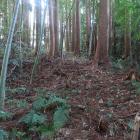 東辺の土塁上