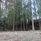 東辺の土塁外周