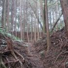 主郭虎口