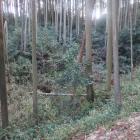 東側の谷部
