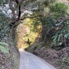 亀ヶ谷坂切通