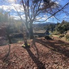 物見櫓跡と野牛郭