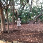 はに丸