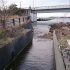 出雲崎代官所獄門跡脇の通称「洗い川」はすぐに日本海に注ぐ(画像正面は日本海)