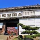 菱の門