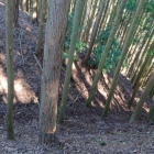 照福寺手前の大堀切