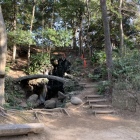 滝や橋はともかく、この高低差
