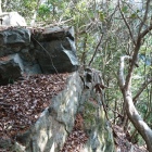 二ノ丸の自然岩