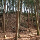 主郭南側、尾根を利用した土塁
