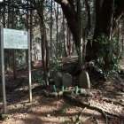 高山マリア墓地