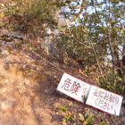 石積が奥にありますが、ロープが張っていて近づけません。