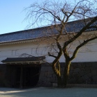 常盤木門