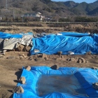 北側は発掘調査中