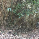 お妙塚の南側の堀状