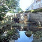 御殿山公園の池