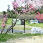 石碑