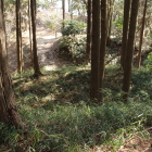 西曲輪からの二重堀切
