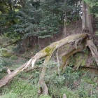 東水堀と主郭土塁