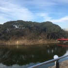 河底池越しの茶臼山（堀ではない）