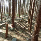 土塁
