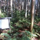 土塁