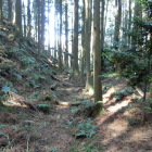 堀と土塁
