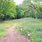 大広間跡