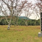 主郭と城址碑（南側）