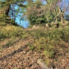 本丸土塁（東側）と石積…